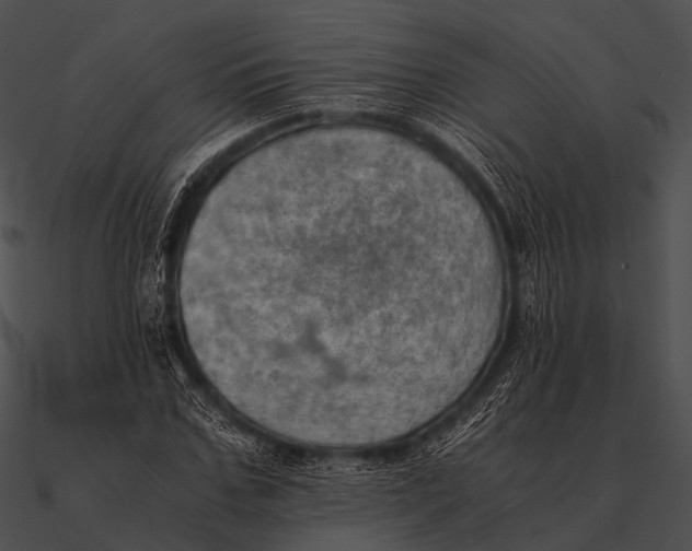 X0000090490971200708031143