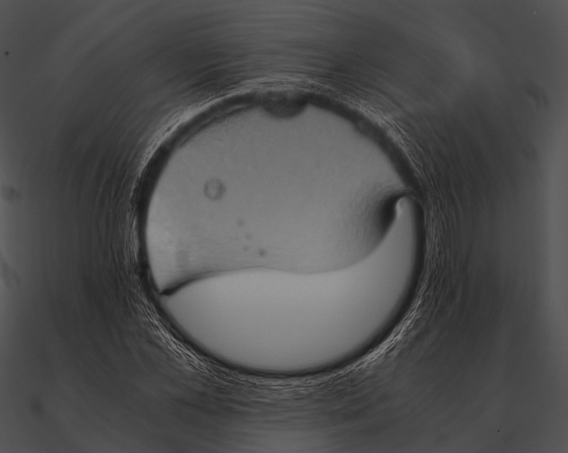 X0000090490973200708031143