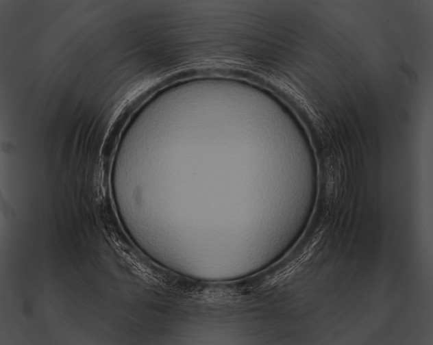 X0000090490974200708031143