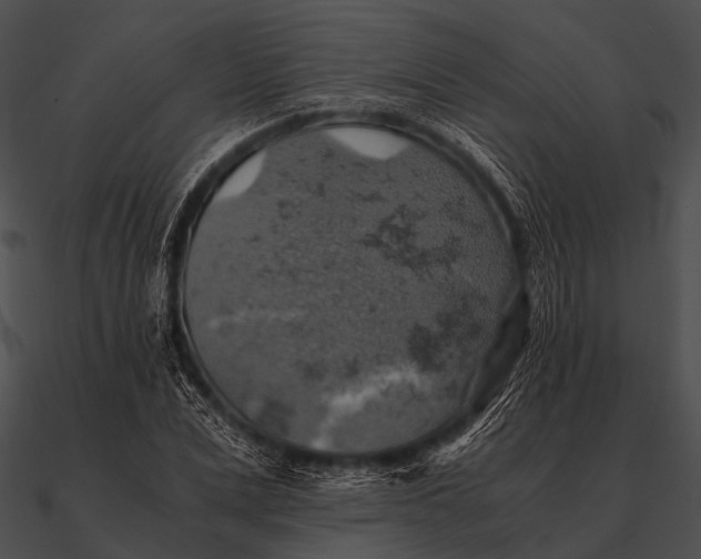 X0000090490975200708031143