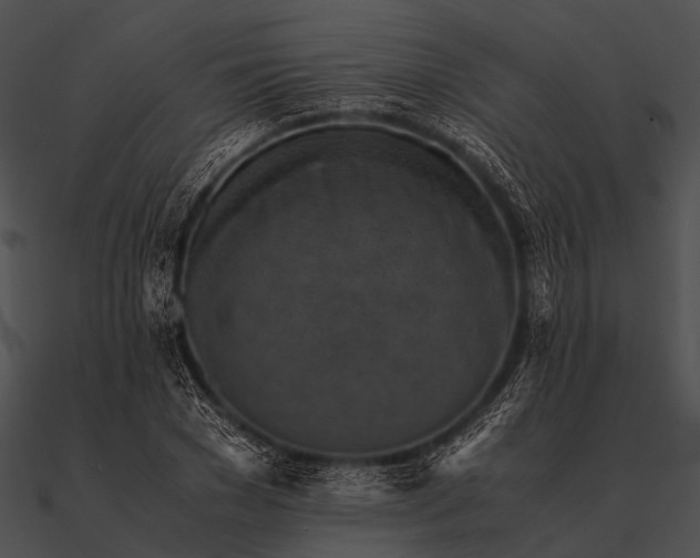 X0000090490977200708031143