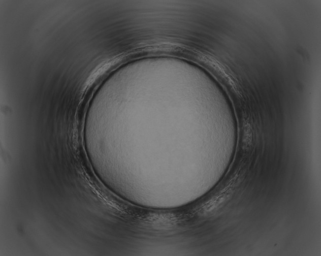 X0000090490978200708031143