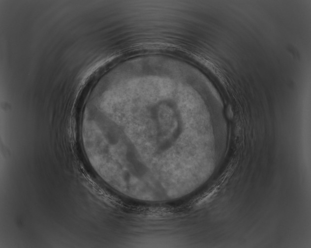 X0000090490979200708031143