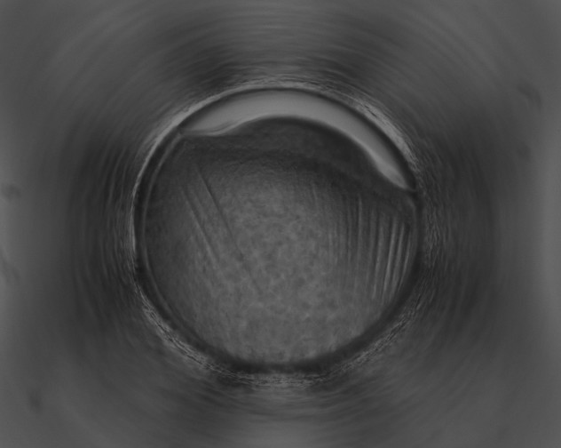 X0000090490980200708031143