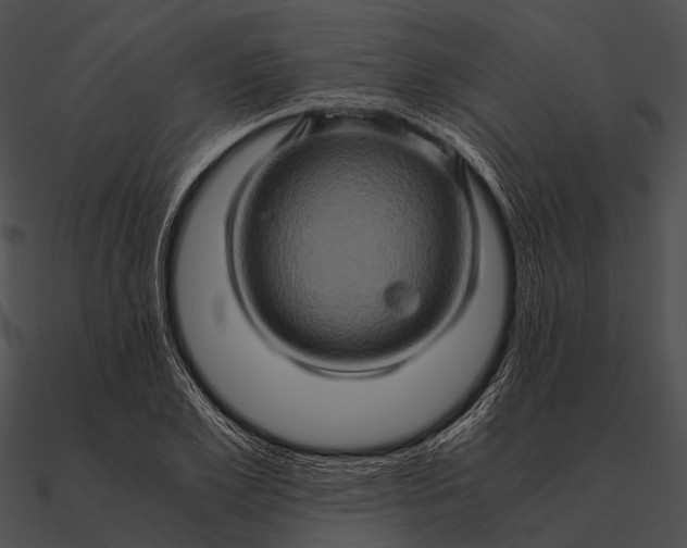 X0000090490981200708031143