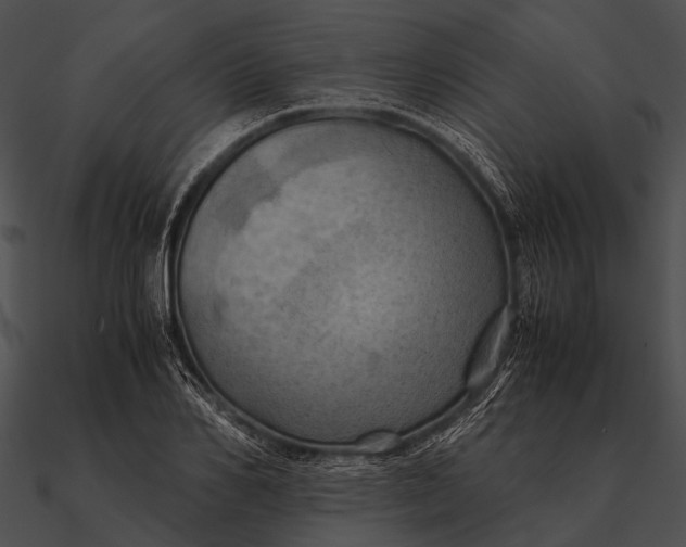 X0000090490982200708031143