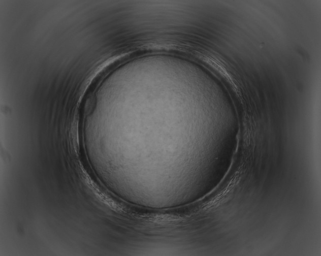 X0000090490984200708031143