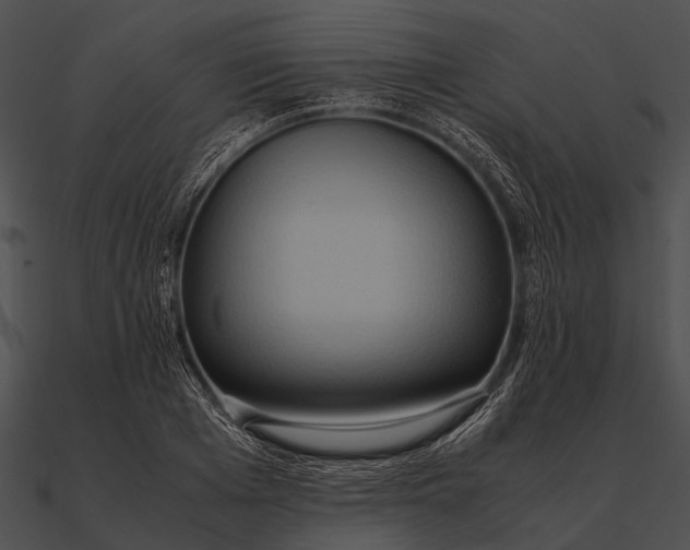 X0000090490985200708031143