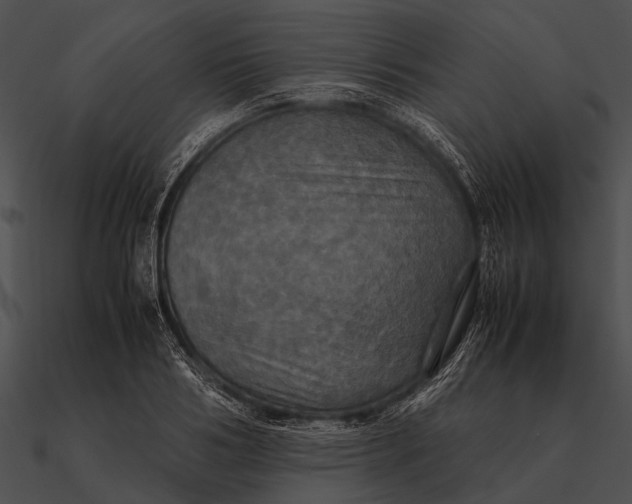 X0000090490986200708031143