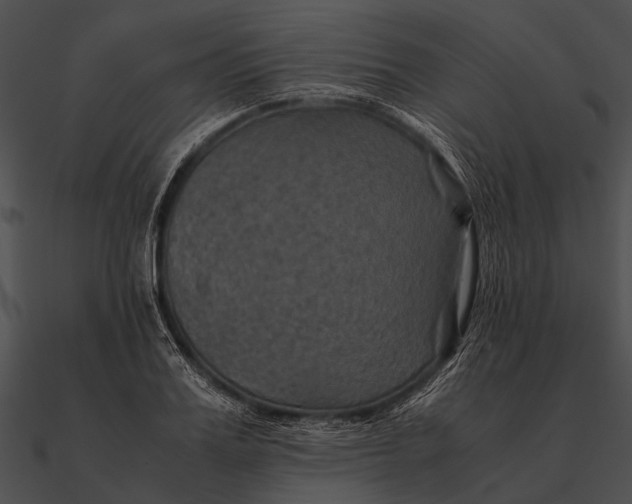 X0000090490987200708031143