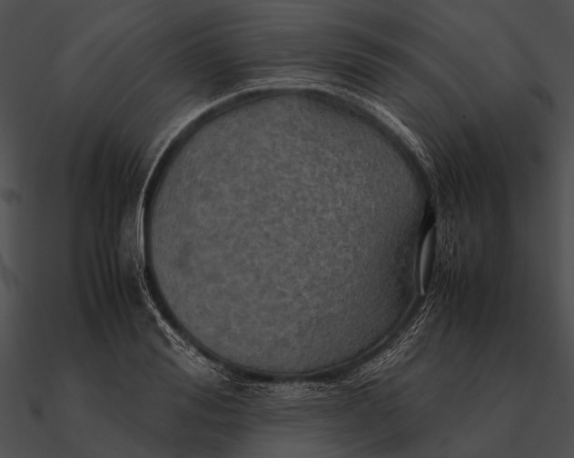 X0000090490988200708031143