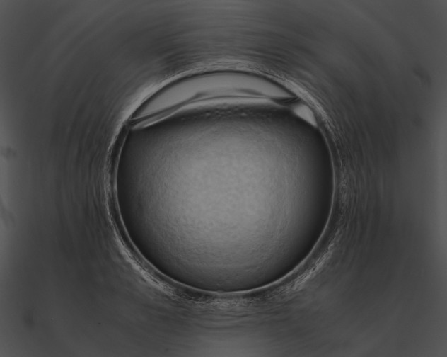 X0000090490989200708031143