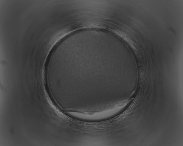 X0000090490991200708031143