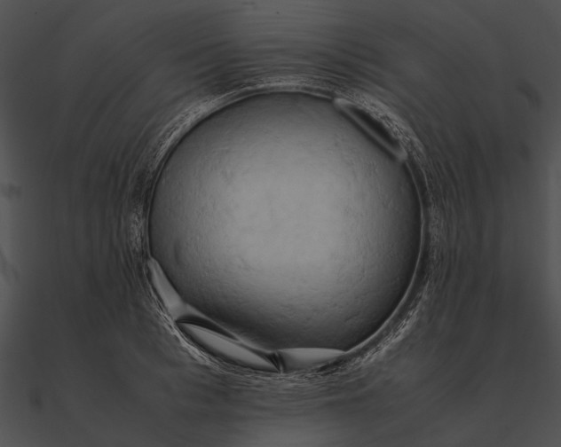 X0000090490993200708031143