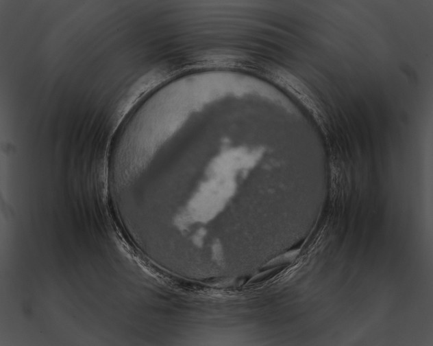 X0000090490994200708031143