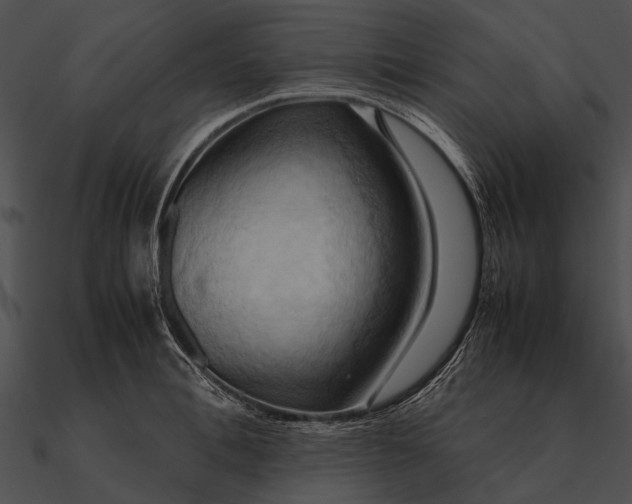 X0000090490996200708031143