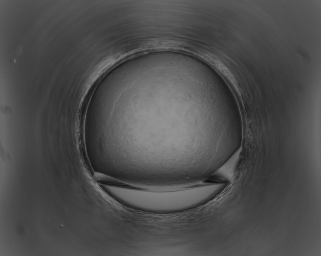 X0000090490997200708031143