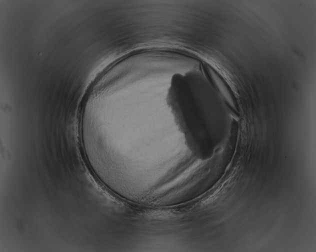 X0000090490998200708031143