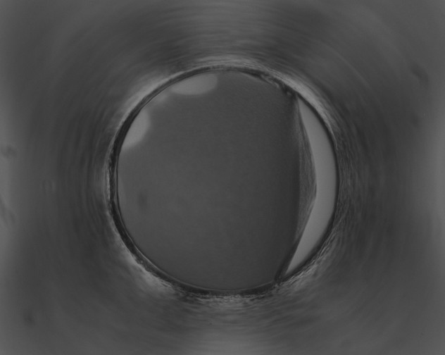 X0000090490999200708031143