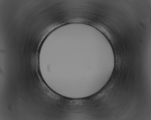 X0000090491000200708031143