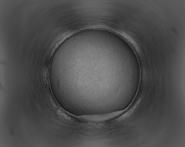 X0000090491001200708031142