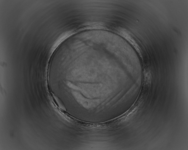 X0000090491002200708031142