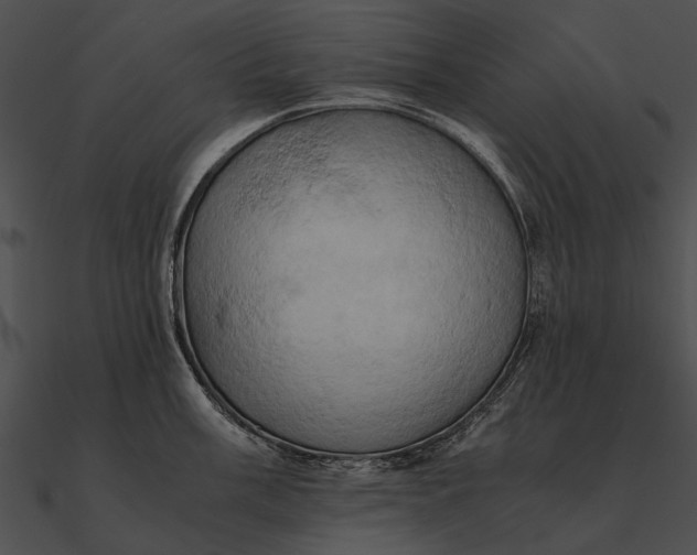 X0000090491003200708031142