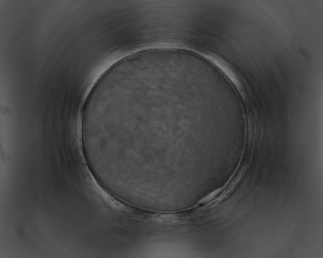 X0000090491006200708031142