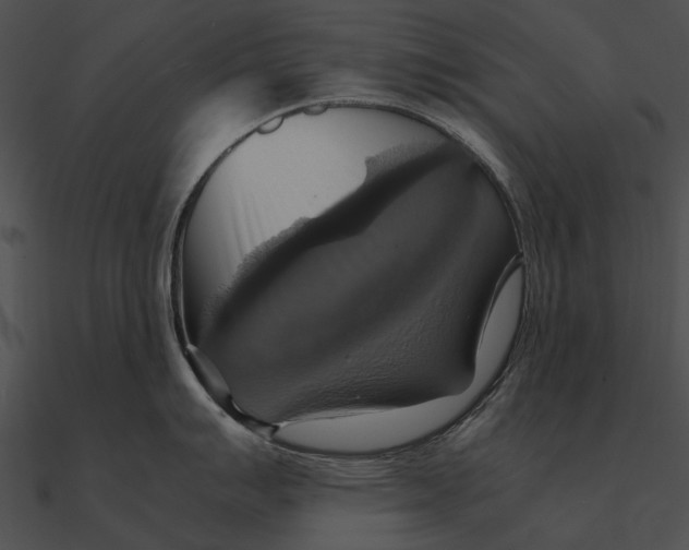 X0000090491007200708031142