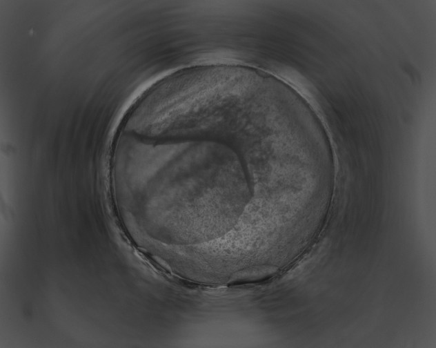 X0000090491008200708031142