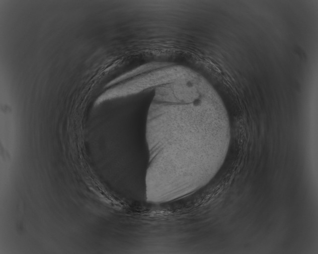 X0000090491009200708031142