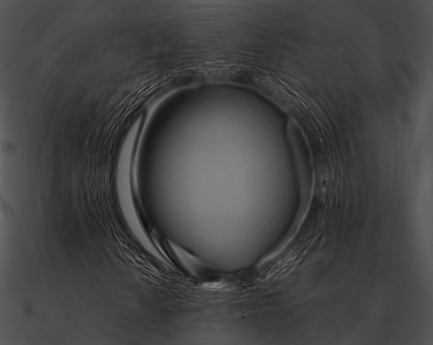 X0000090491010200708031142