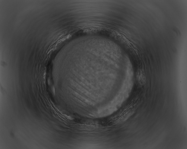 X0000090491012200708031142