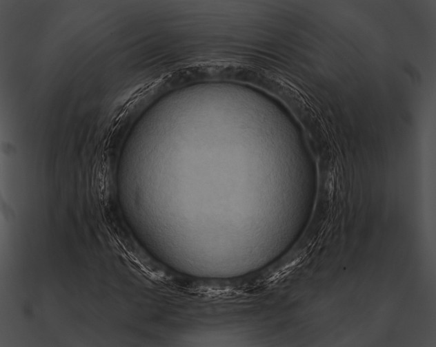 X0000090491014200708031142