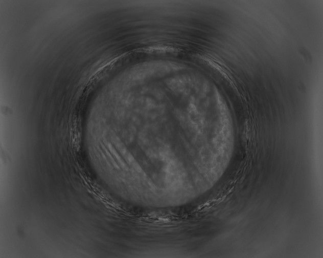 X0000090491015200708031142