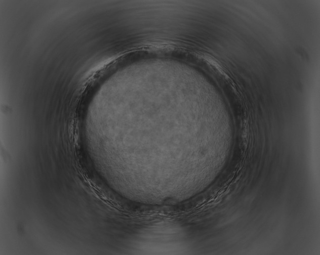 X0000090491016200708031142