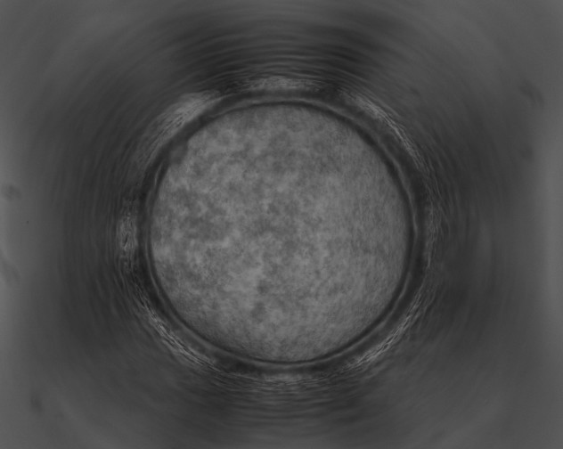 X0000090491017200708031142