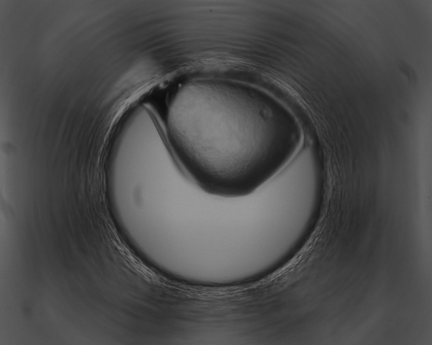 X0000090491018200708031142