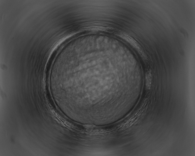 X0000090491020200708031142