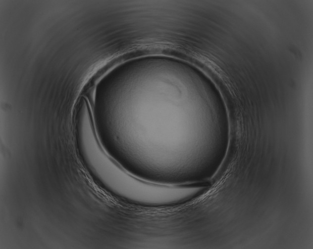 X0000090491022200708031142