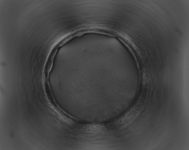 X0000090491024200708031142