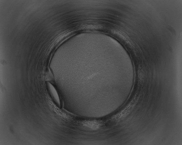 X0000090491025200708031142