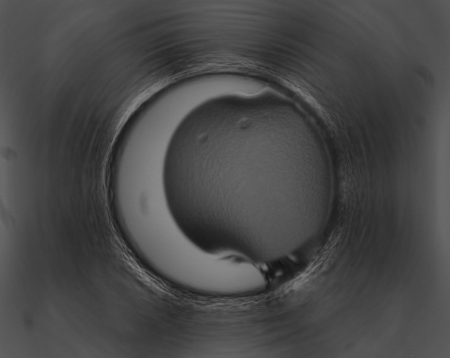 X0000090491026200708031142