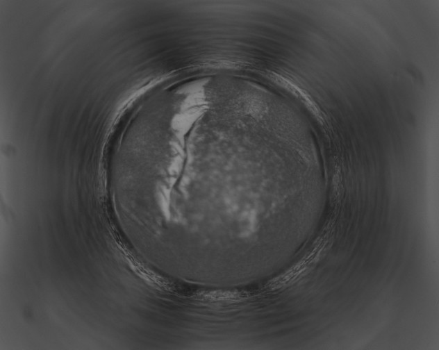 X0000090491027200708031142