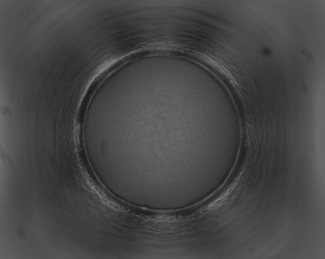 X0000090491029200708031142