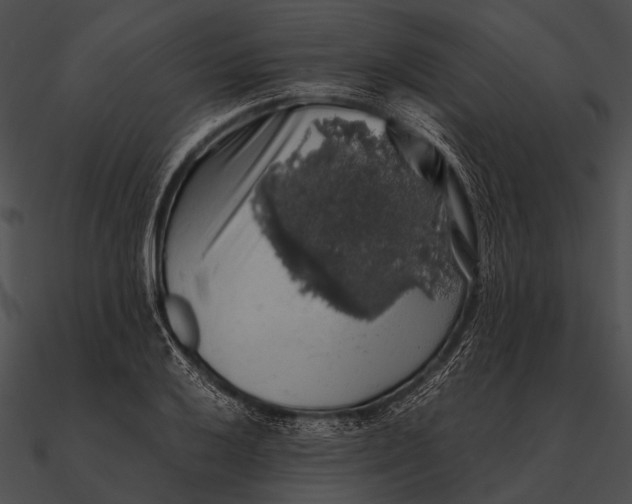 X0000090491032200708031142