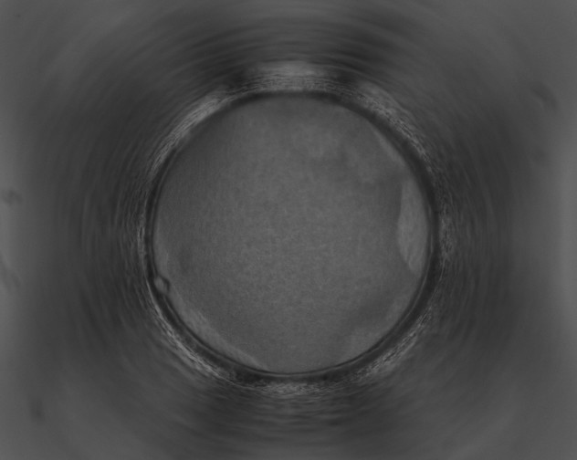 X0000090491033200708031142