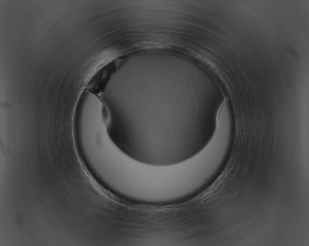 X0000090491034200708031142