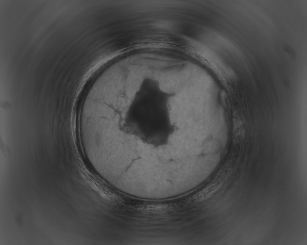 X0000090491035200708031142