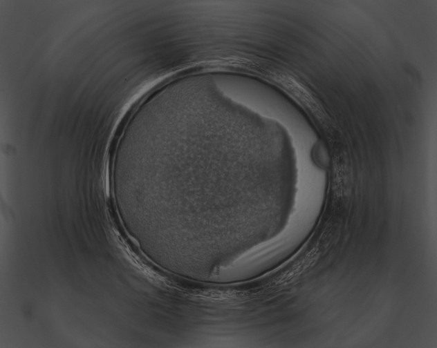 X0000090491036200708031142